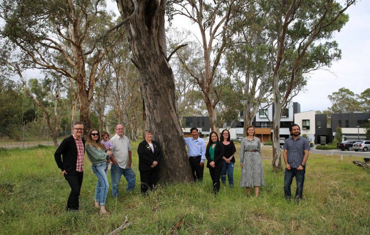 Residents and councillors with river red gums