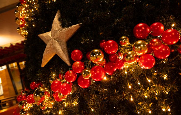 Close up of decorations on a christmas tree