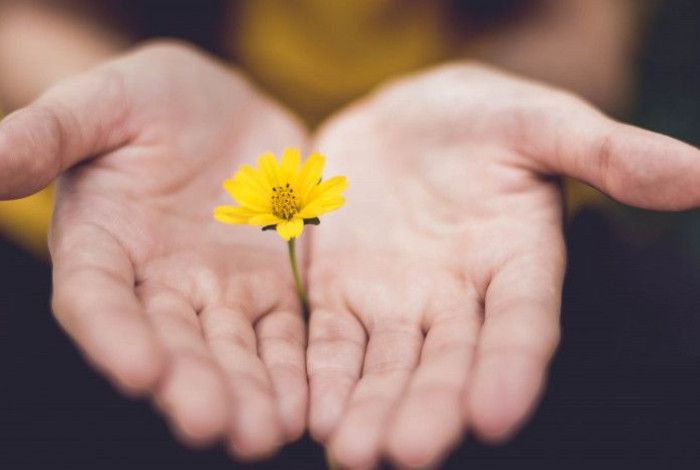 A flower in someones hands