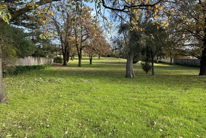 Clow Street Reserve