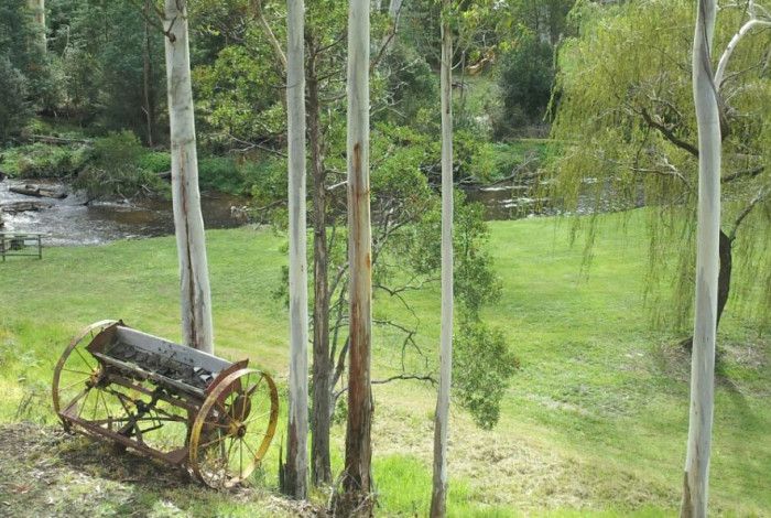 Noojee hotel garden