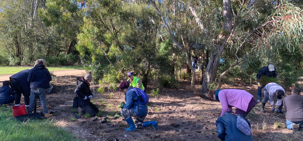 people planting trees in a garden bed in a reserve