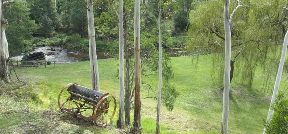 Noojee hotel garden