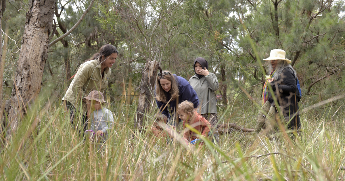 Nature play australia