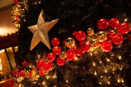 Close up of decorations on a christmas tree