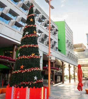 Christmas Tree in Harmony Square, Dandenong