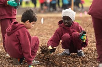 One Tree Per Child National Tree Day for Schools 2023