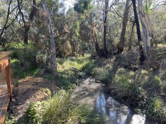 Billabong Boardwalk development