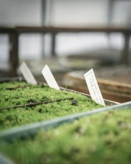 In November, our volunteer Garden Guides took part in indigenous plant propagation training. Photo credit: Garden Guide volunteer and local photographer Abhijit Pal 