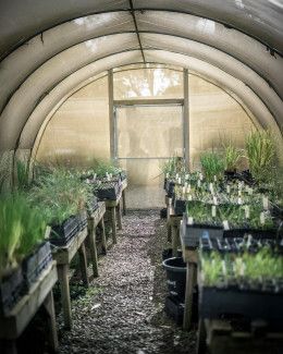 In November, our volunteer Garden Guides took part in indigenous plant propagation training. Photo credit: Garden Guide volunteer and local photographer Abhijit Pal 