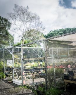 In November, our volunteer Garden Guides took part in indigenous plant propagation training. Photo credit: Garden Guide volunteer and local photographer Abhijit Pal 