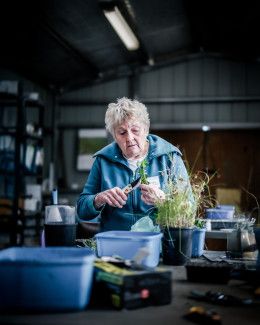 In November, our volunteer Garden Guides took part in indigenous plant propagation training. Photo credit: Garden Guide volunteer and local photographer Abhijit Pal 